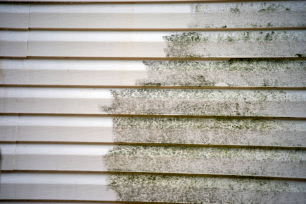 Best Moving and Downsizing Cleanouts  in Inwood, WV